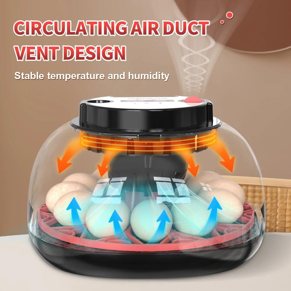 12 Egg Automatic Turning Chicken Hatcher Incubators Stable Temperature Incubator