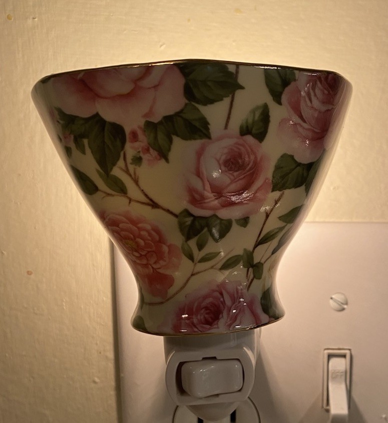 A Special Place Porcelain Plugin Night Light V-Shaped Shade W/Roses VINTAGE 2003