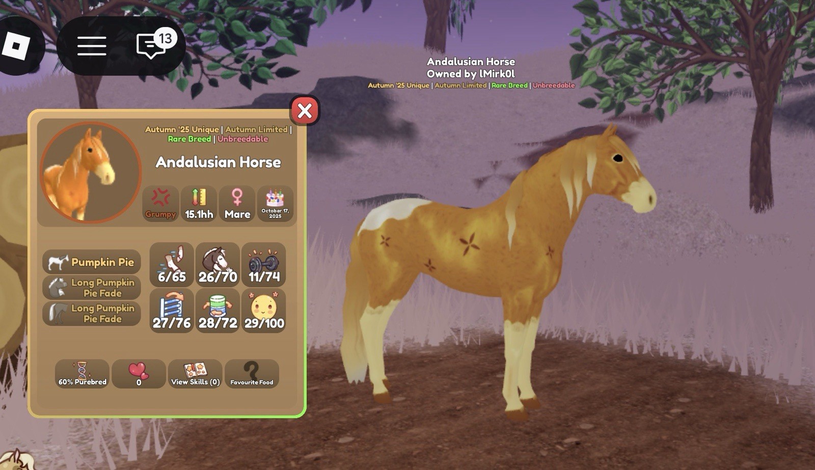 Andalusian Horse Rare Breed Autumn '25 Unique Unbreedable 60% Purebred Mare