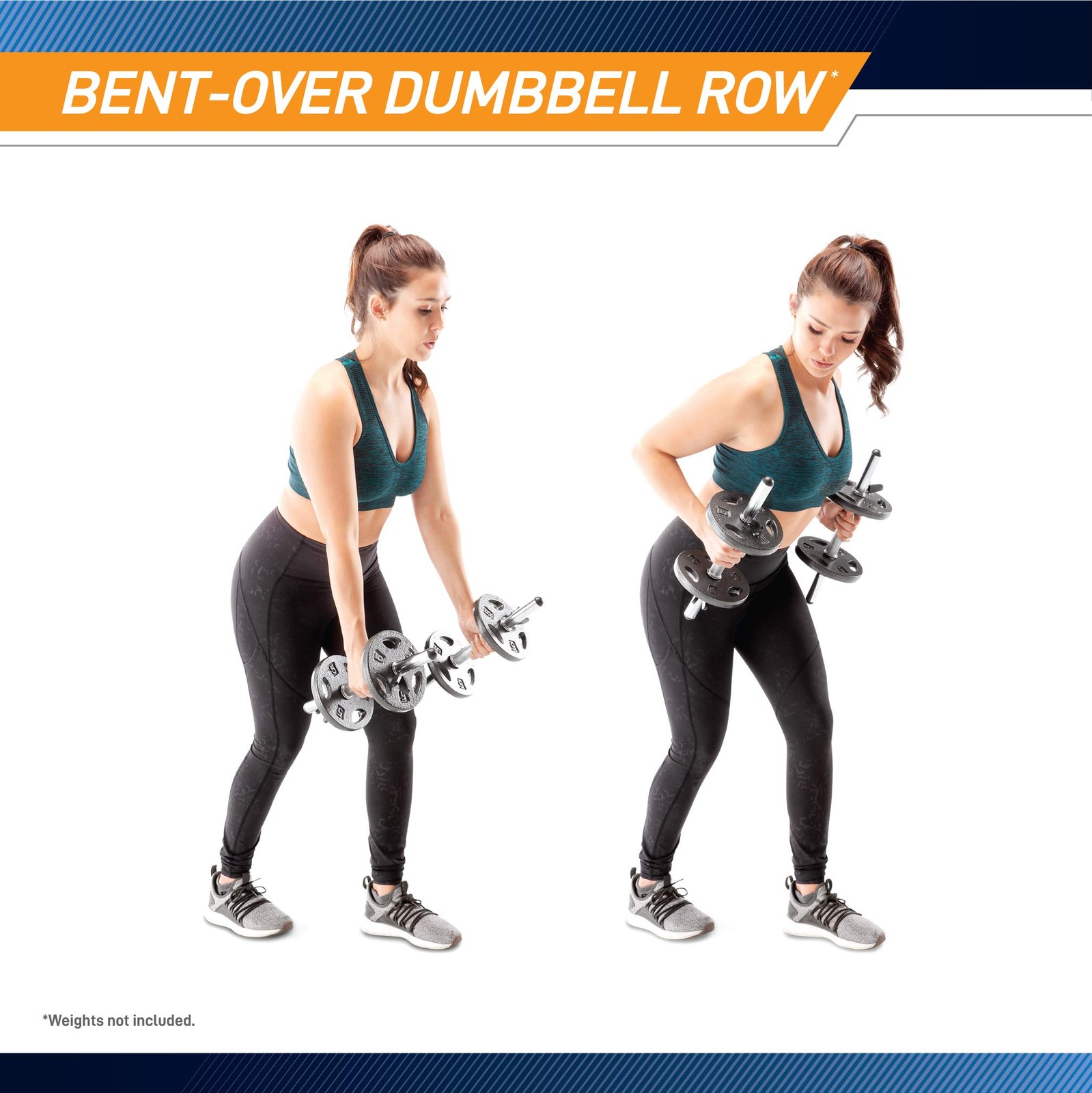 Marcy Standard Size Curl Bar and Dumbbell Handle Set with 6 Spring Collars