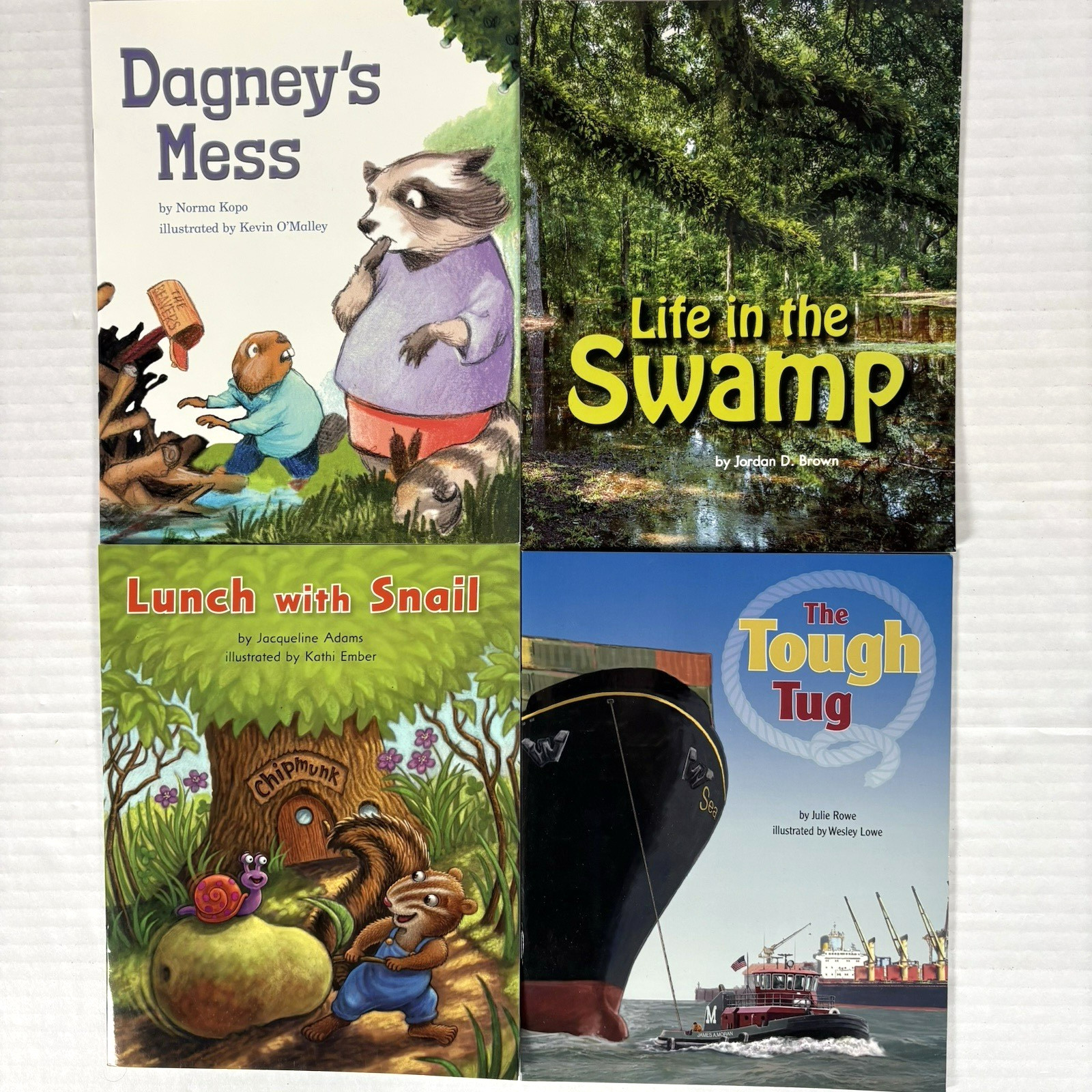 1st Grade Readers Multi-Level Reading Library #3 – 24 Homeschool Books