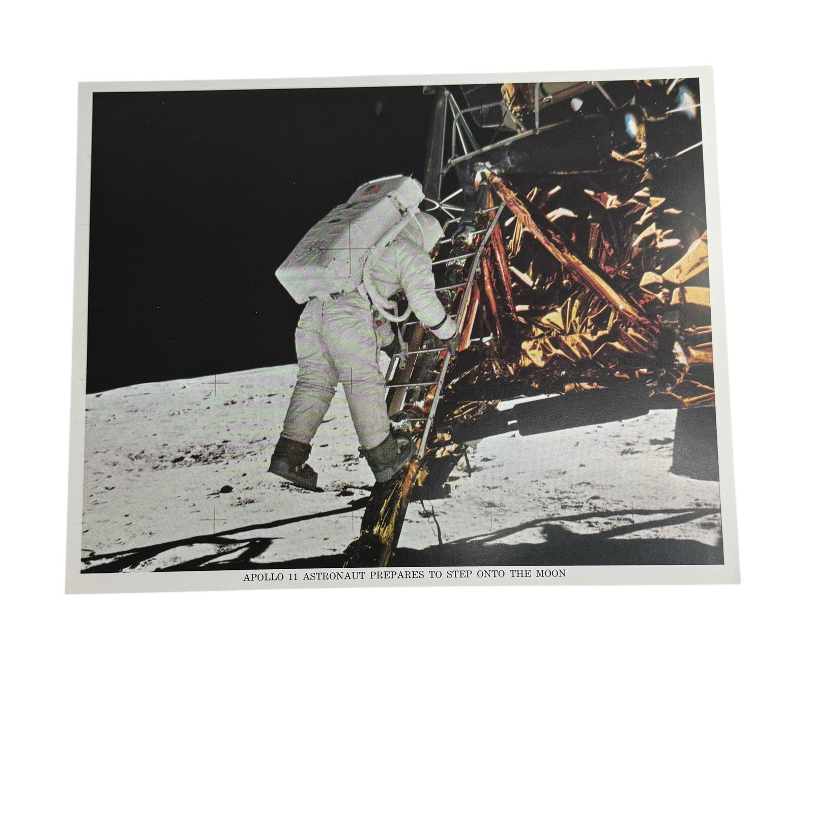 Vintage NASA Apollo 11 Astronaut Aldrin Step Off Lunar Module 8x 10 Photo 1969