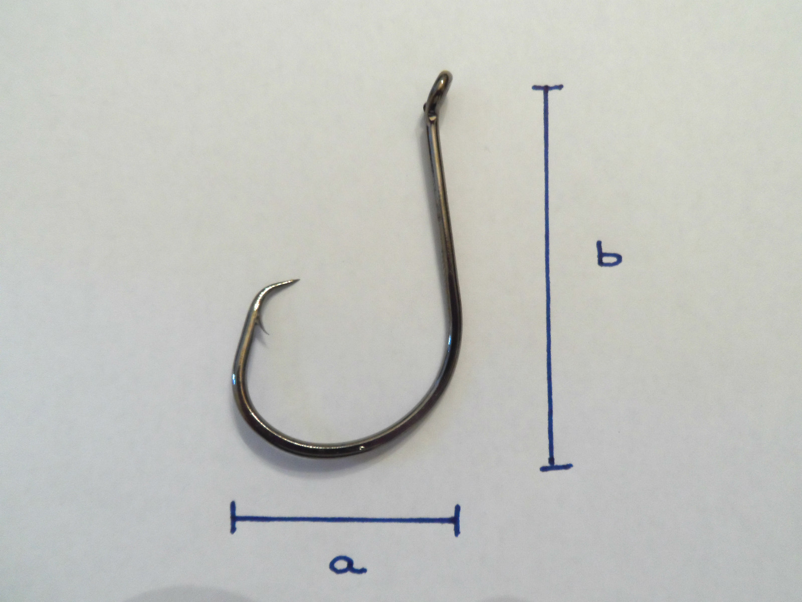Circle hooks - various sizes