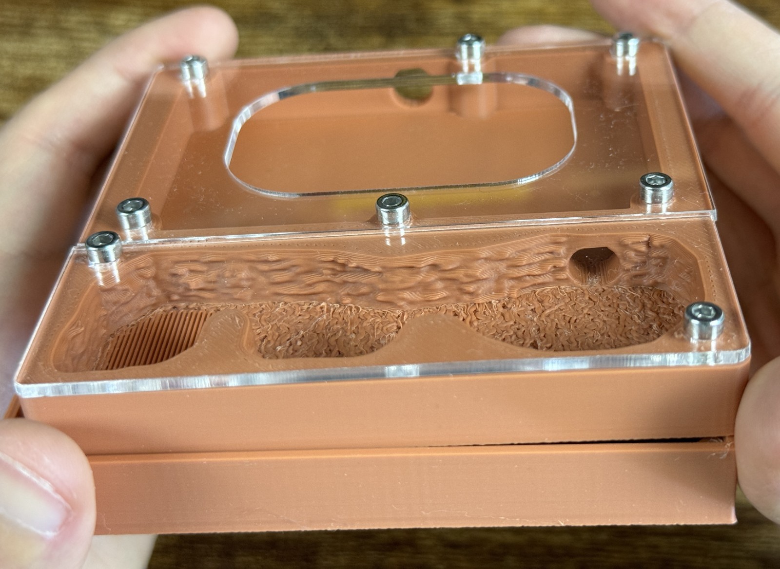 Ant farm "Eco"