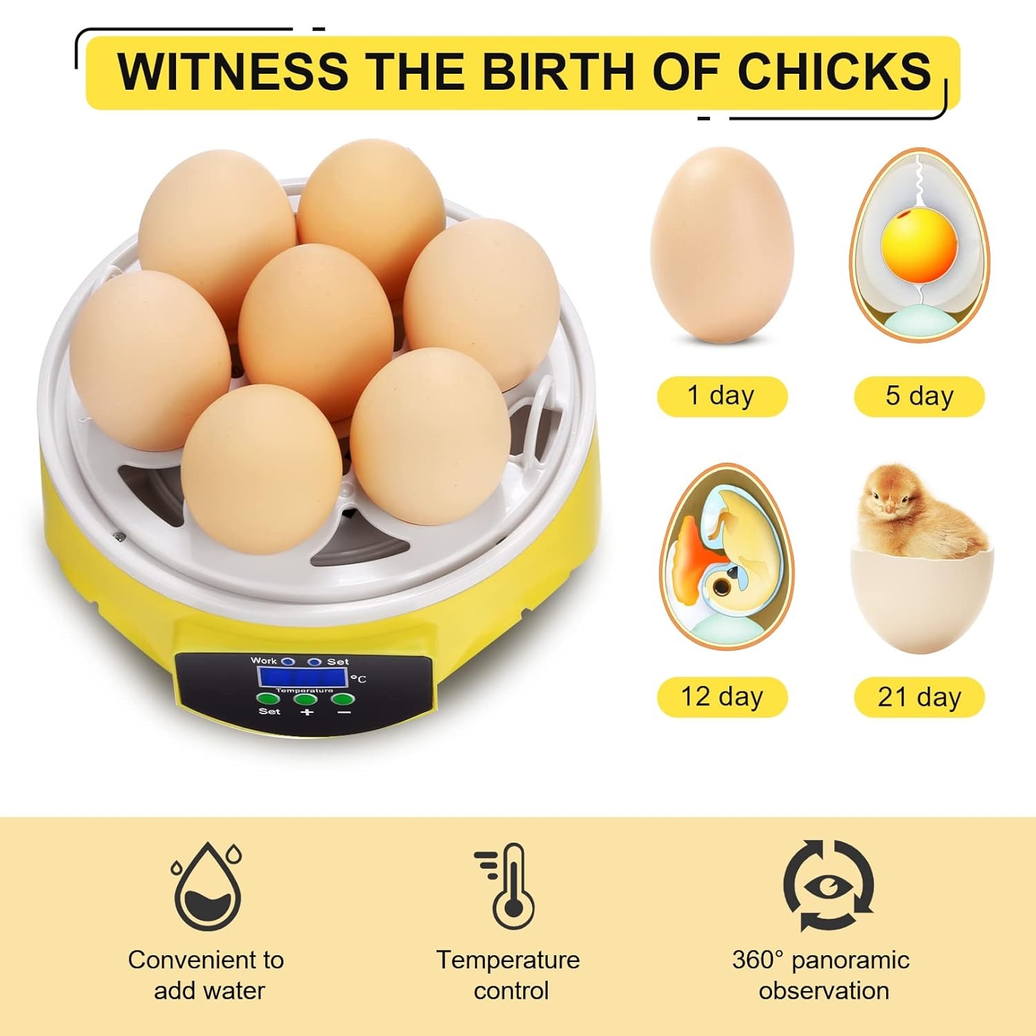 7 Egg Mini Incubator for Kids & Beginners 360° View Manual Temperature Control