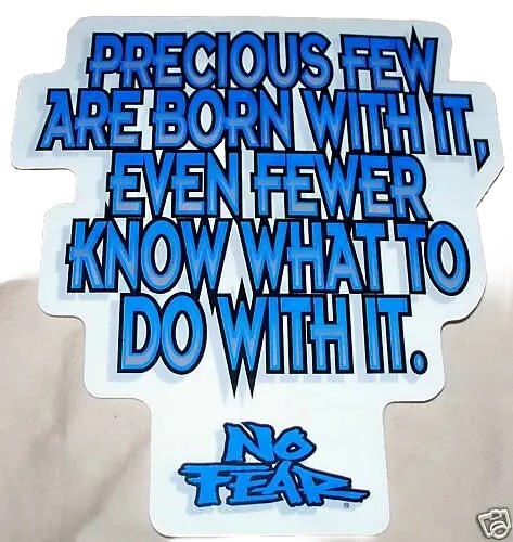 NO FEAR BORN WITH IT Sticker Decal Xtreme Racing Paintball Moto Skate Snow Board