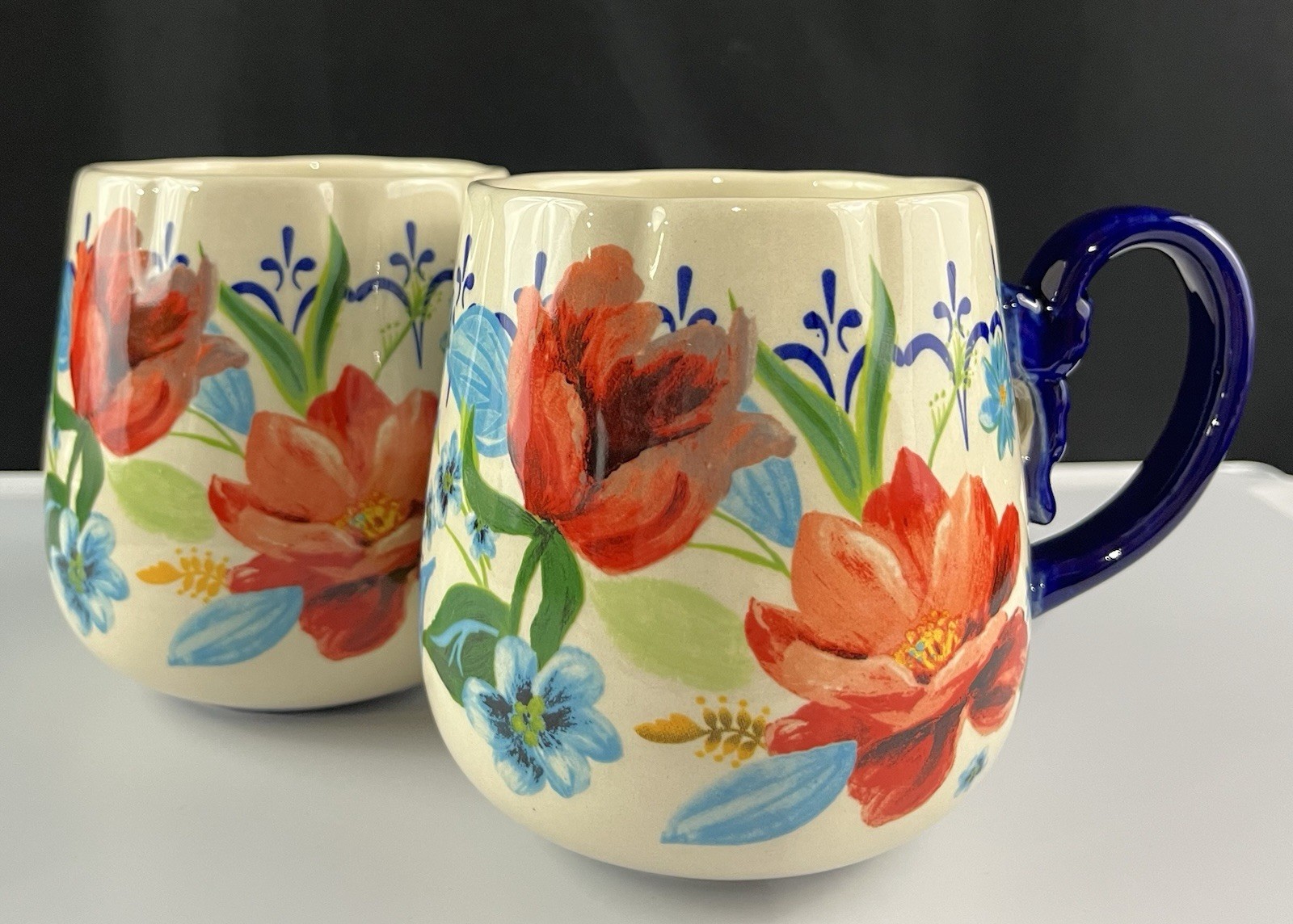 The Pioneer Woman Sweet Rose Stoneware Coffee Mugs Teal Blue Red Floral Set of 2