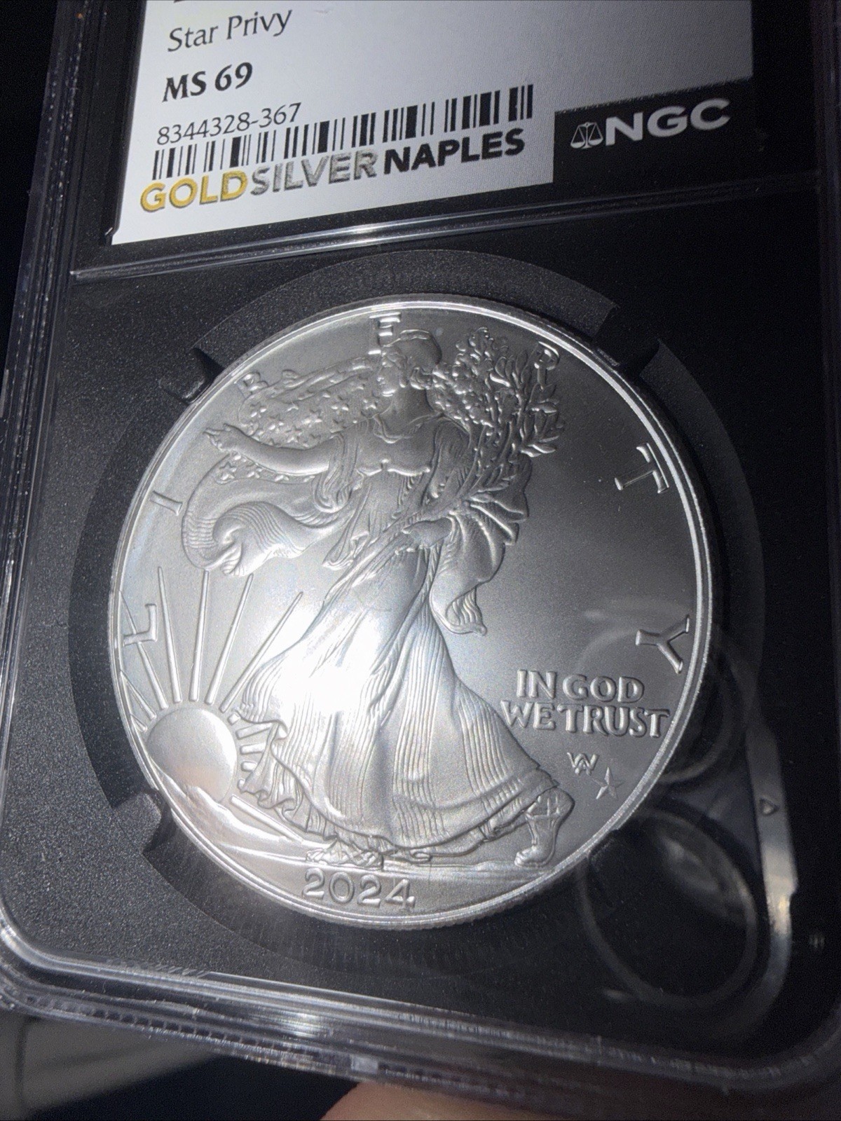 2024 (P) $1 American Silver Eagle ⭐️ Star Privy NGC MS69