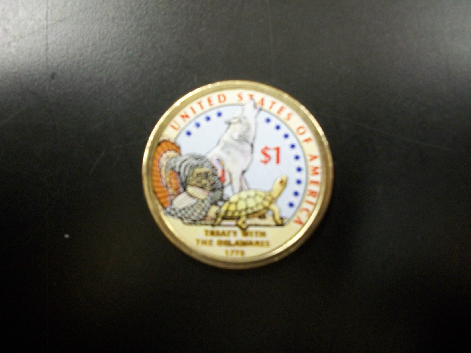 2013 Native American Dollar Colorized on The Reverse Side