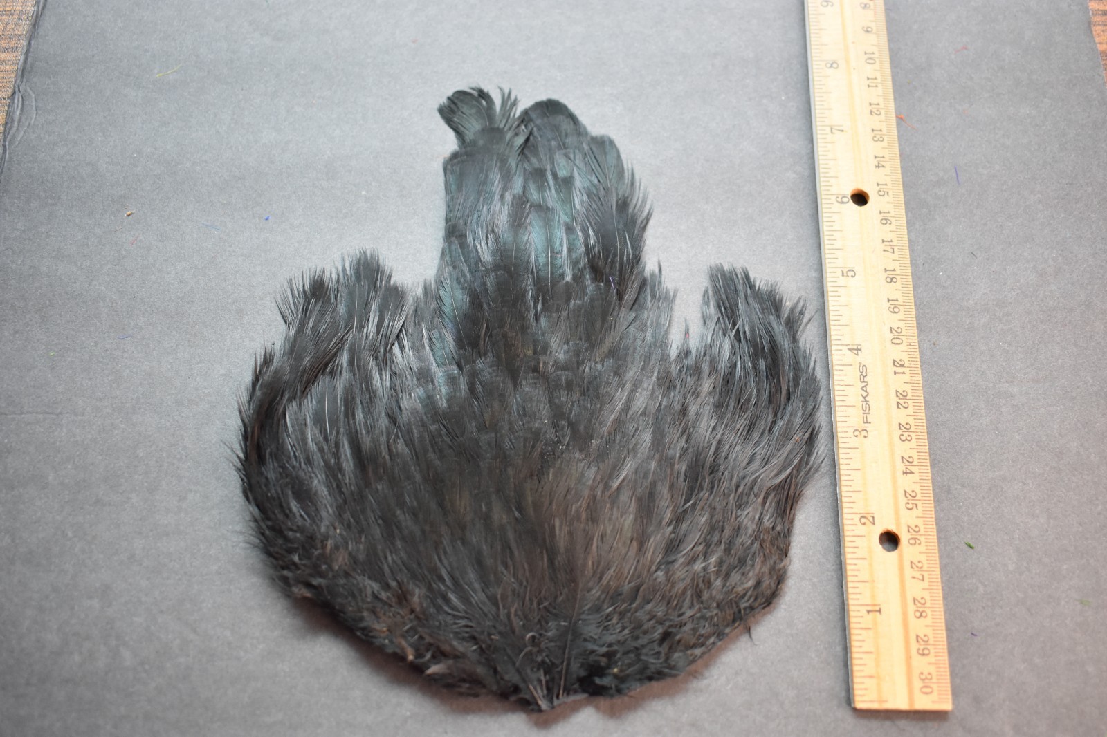 Lot 369, Dyed Black  India Hen Back Saddle Feathers for Fly Tying