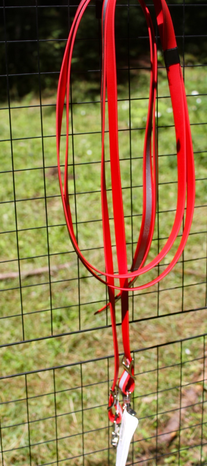 Biothane Split Reins - Red