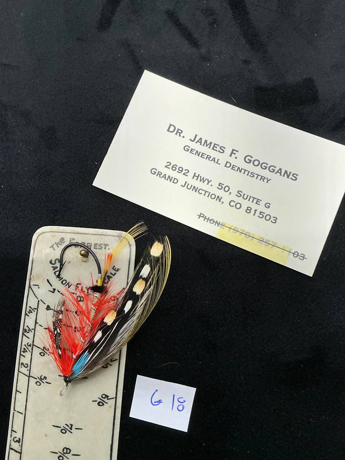 Dr. James Goggans  Salmon Fly G18
