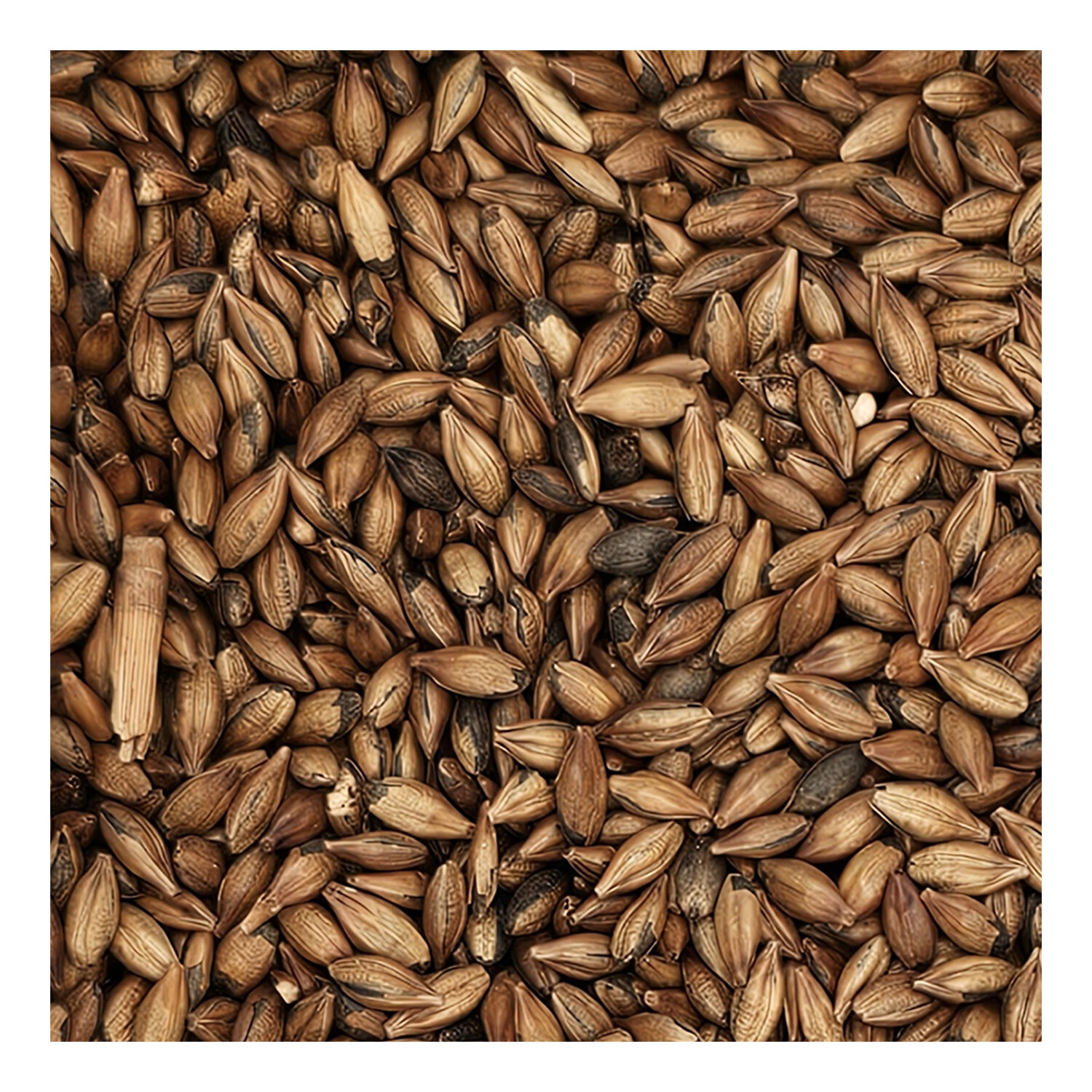 Home Brew Ohio Brown Grain 1lb