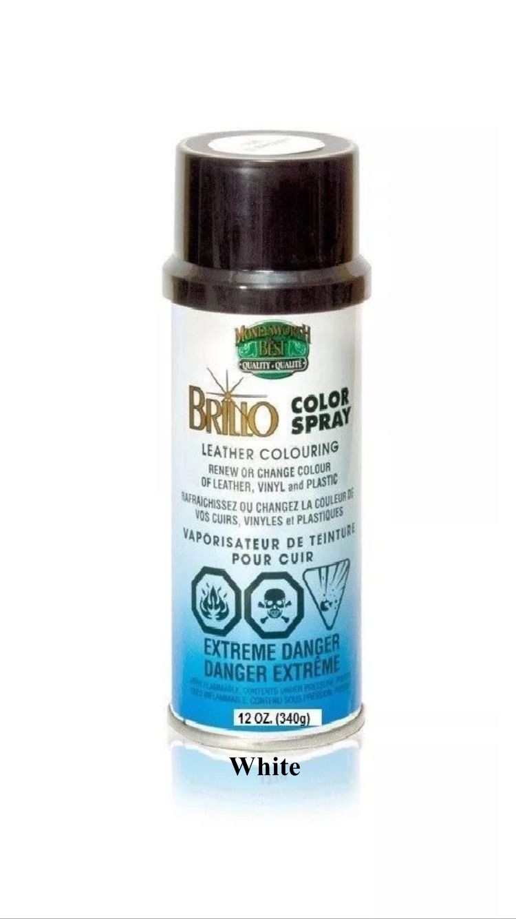 White Color Spray Leather Plastic Vinyl Paint/Dye 12 oz