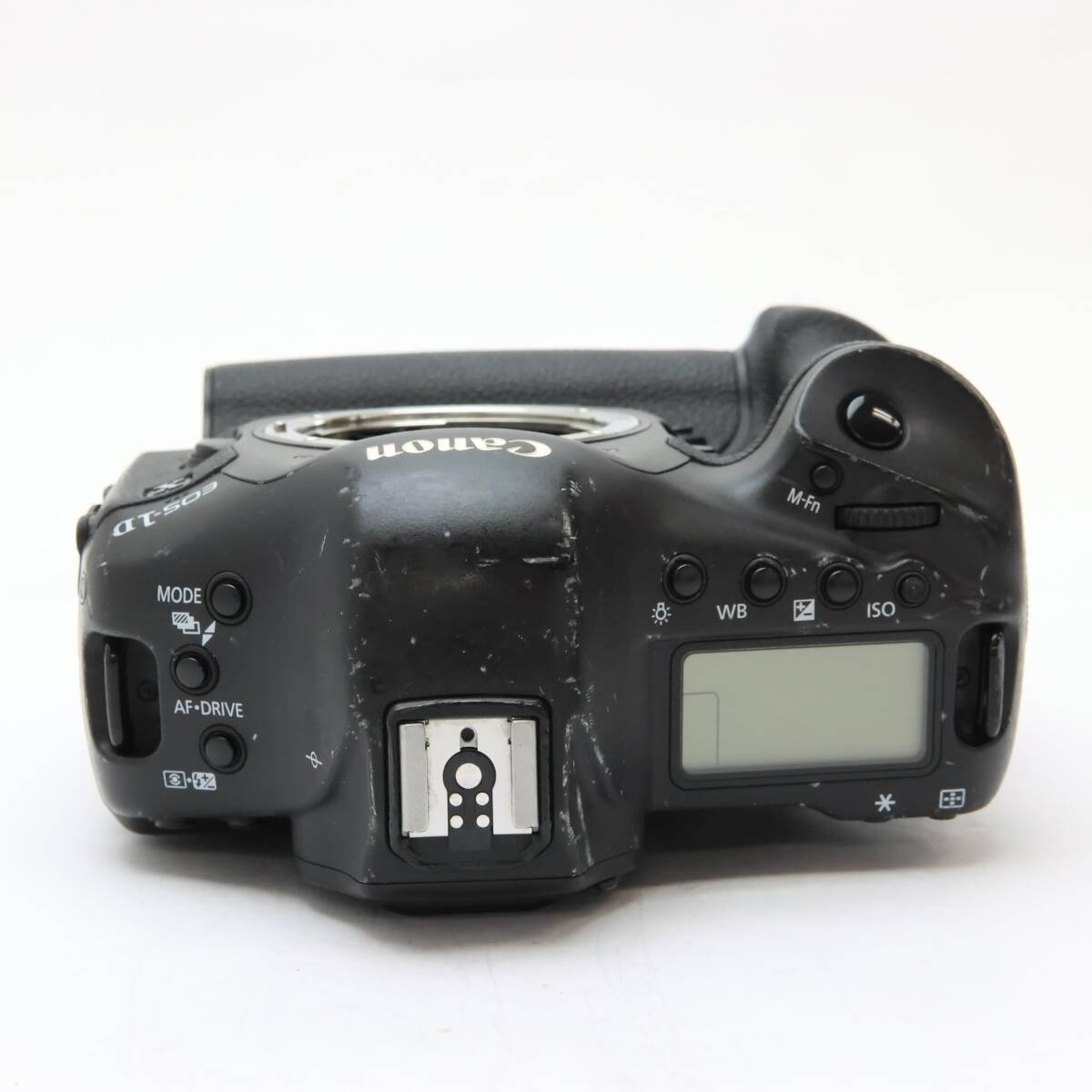Canon EOS-1D X