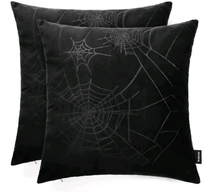 Blackthx Pillowcases 20in x 20 In Set of 2
