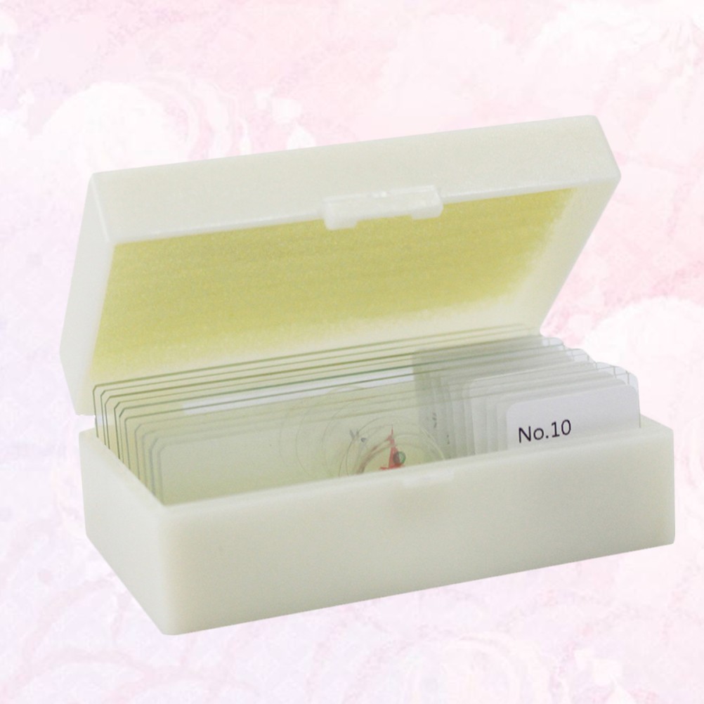 10 PCS/Set Specimen Slides for Microscope Specimens Biology Lab Glass