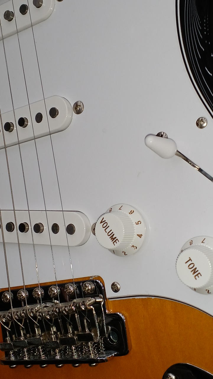 FUJIGEN BCST100RBD-3TS Electric Guitar