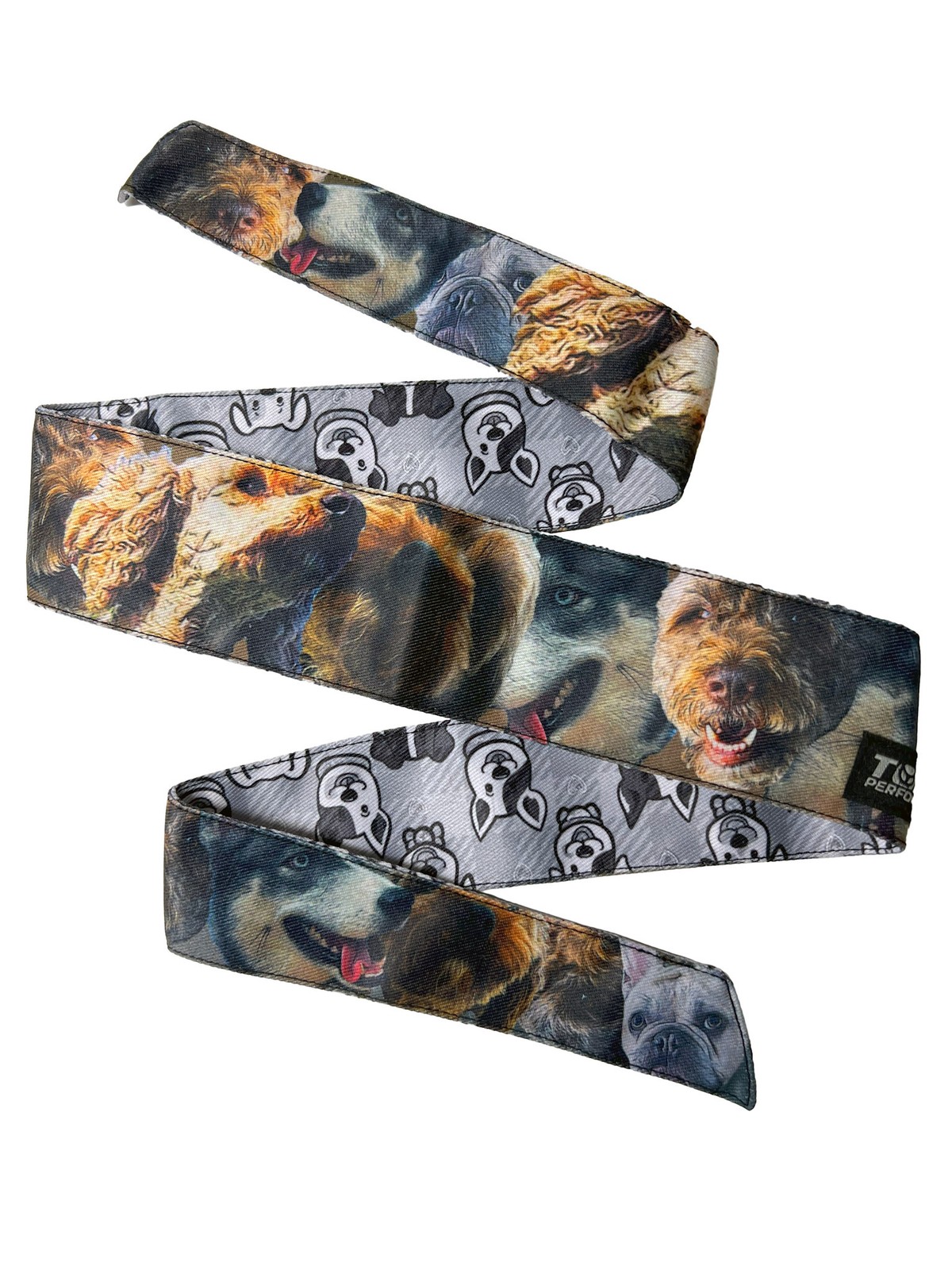 Toxic Performance Headband - Dogs