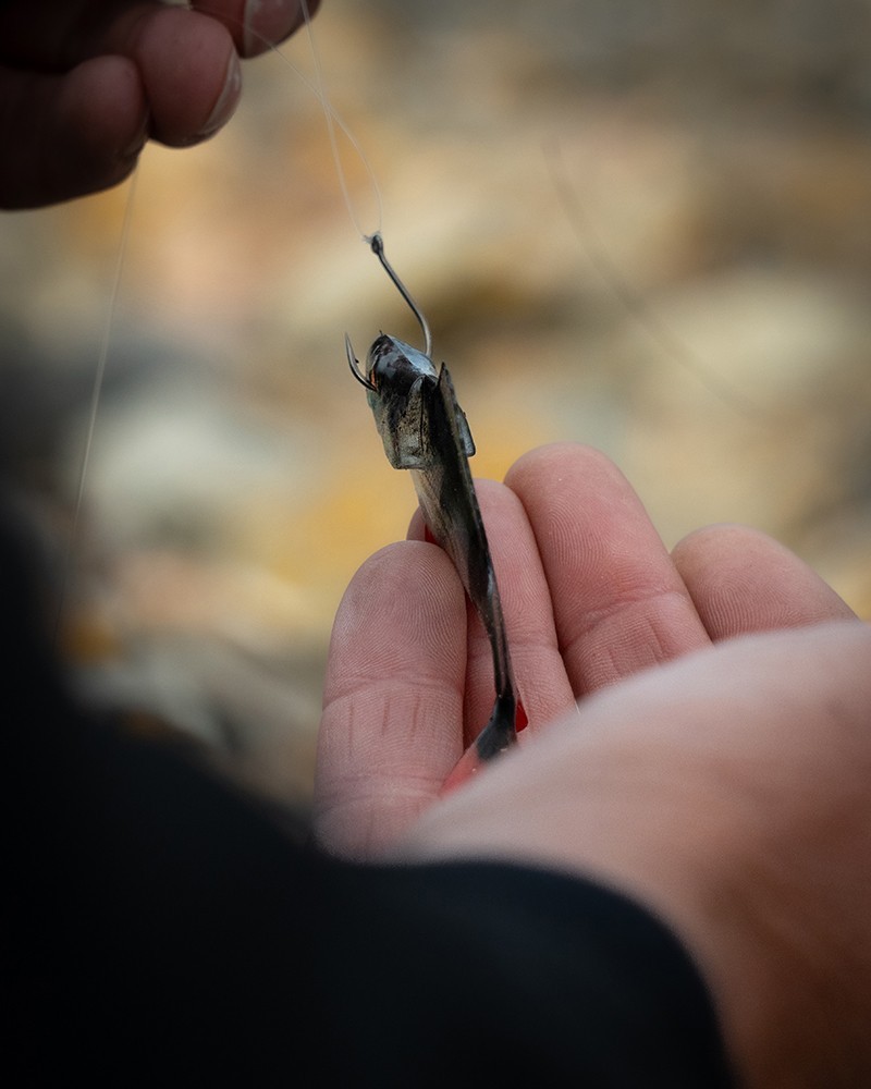 Fox Rage Ultra Natural Fillets / Lures - Roach OR Perch Options