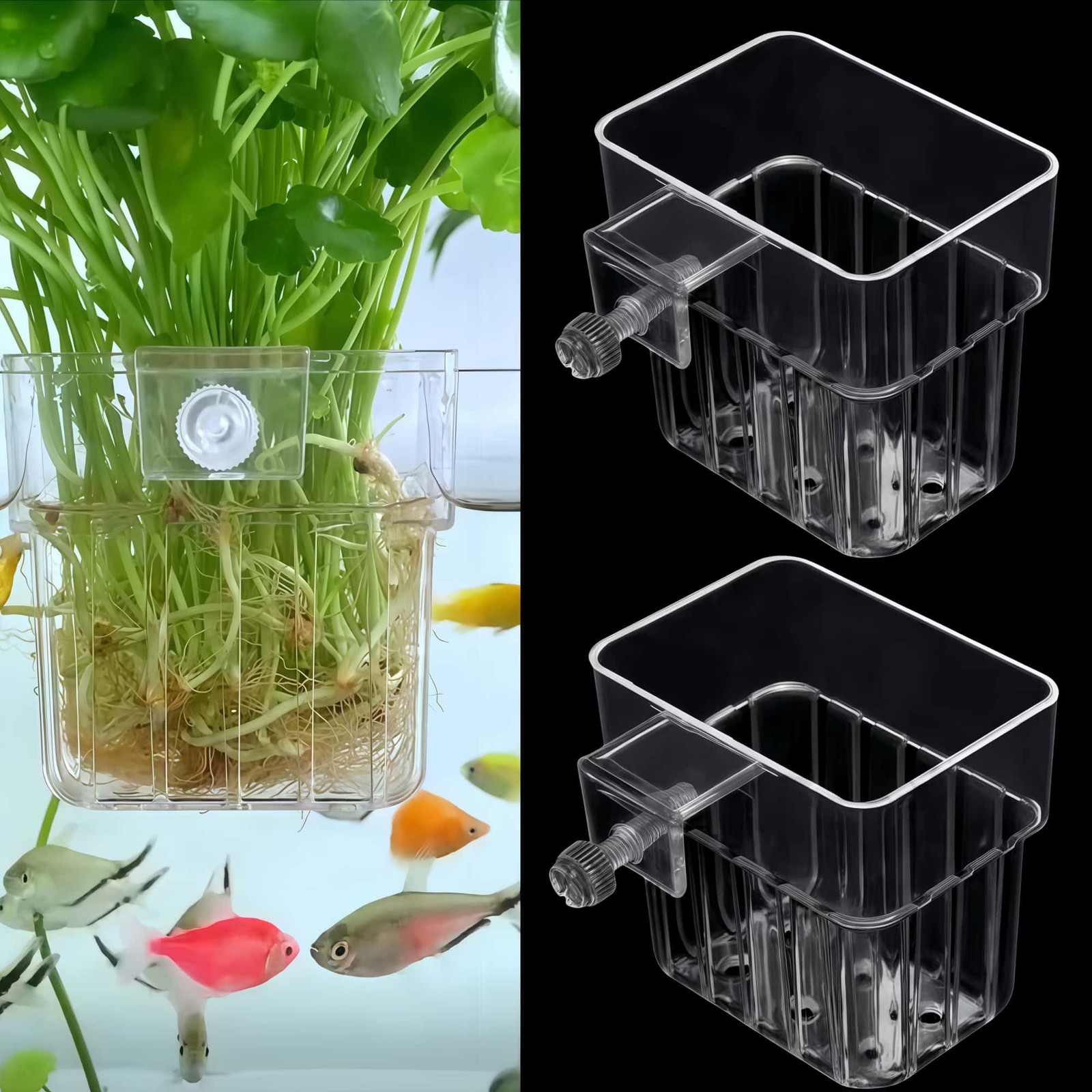 ARREBOL 2 Pack Clear Aquarium Plant Holder Top Hanging Fish Tank
