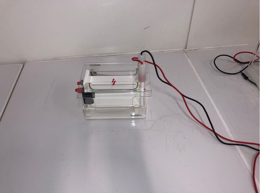 BIOMETRA APELEX ST 606 T