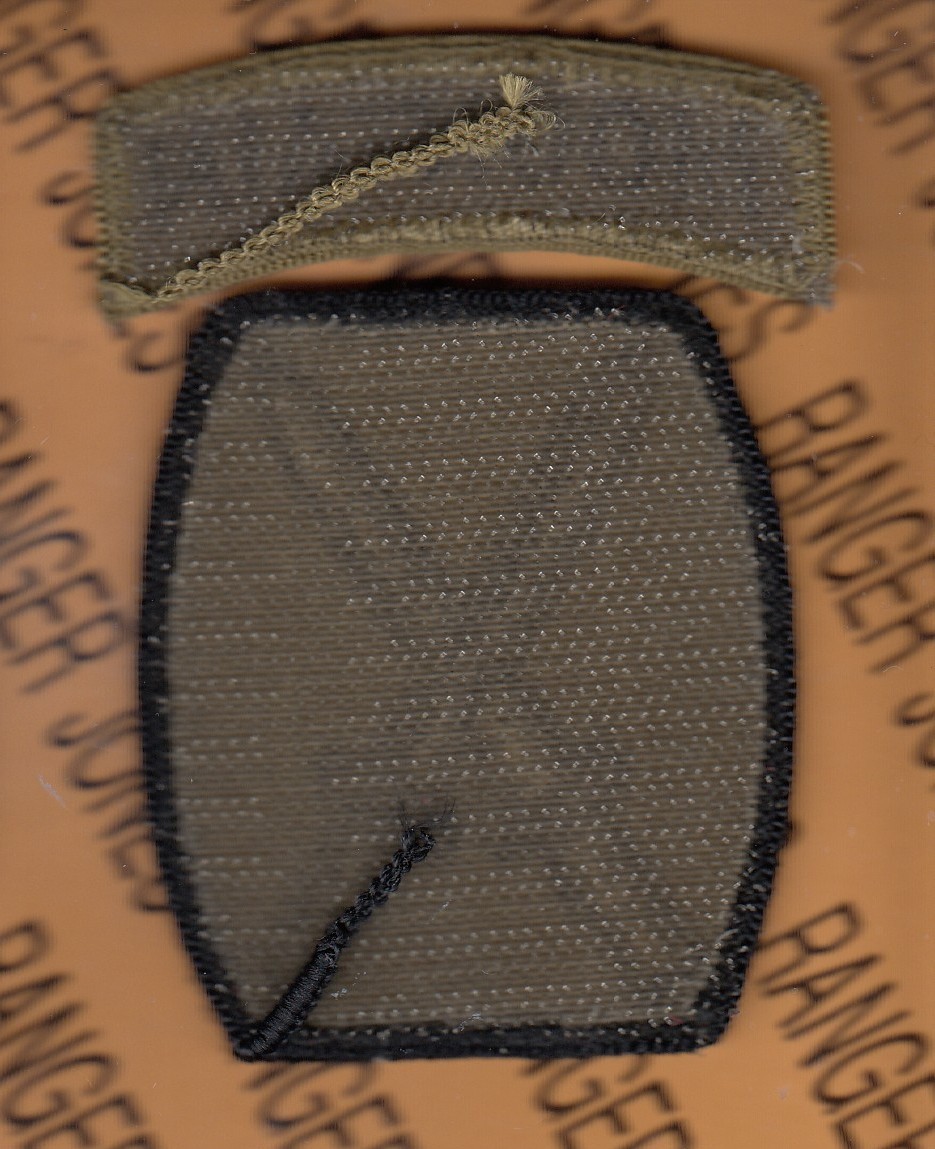 US Army 10th Mountain Division OCP ~3.5" uniform patch w/ tab HOOK m/e