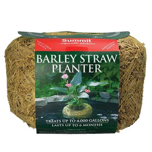 Summit Barley Straw Planter Large  1140
