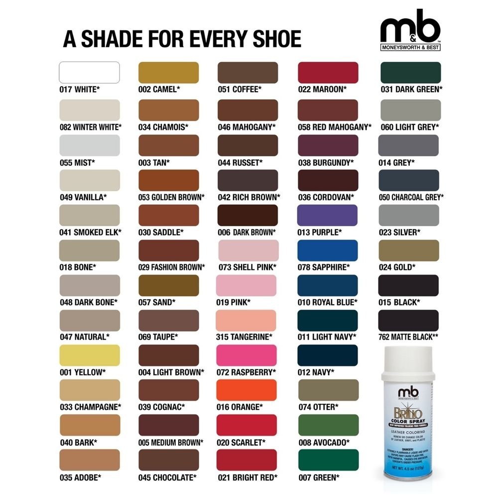 SHOE COLOR SPRAY 4.5oz - ASSORTED COLORS