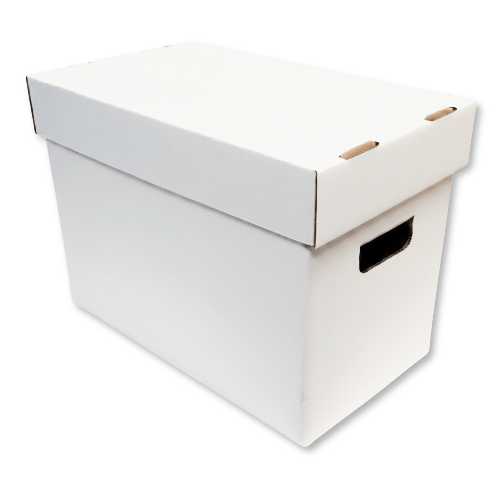 (10) Max Protection Storage Boxes with Lids for Magazine, File, and Document