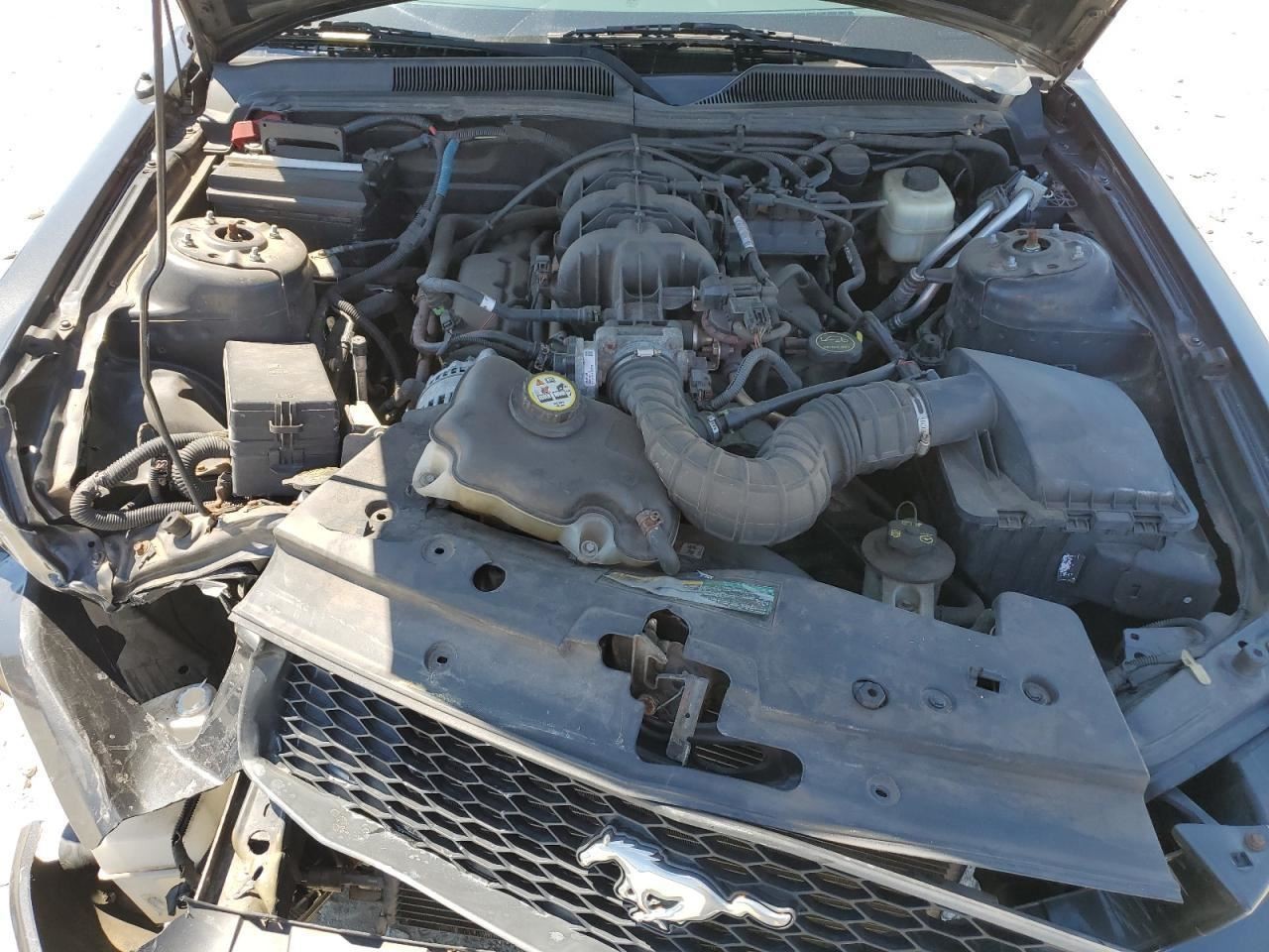 MUSTANG 2008 Glove Box 4859772