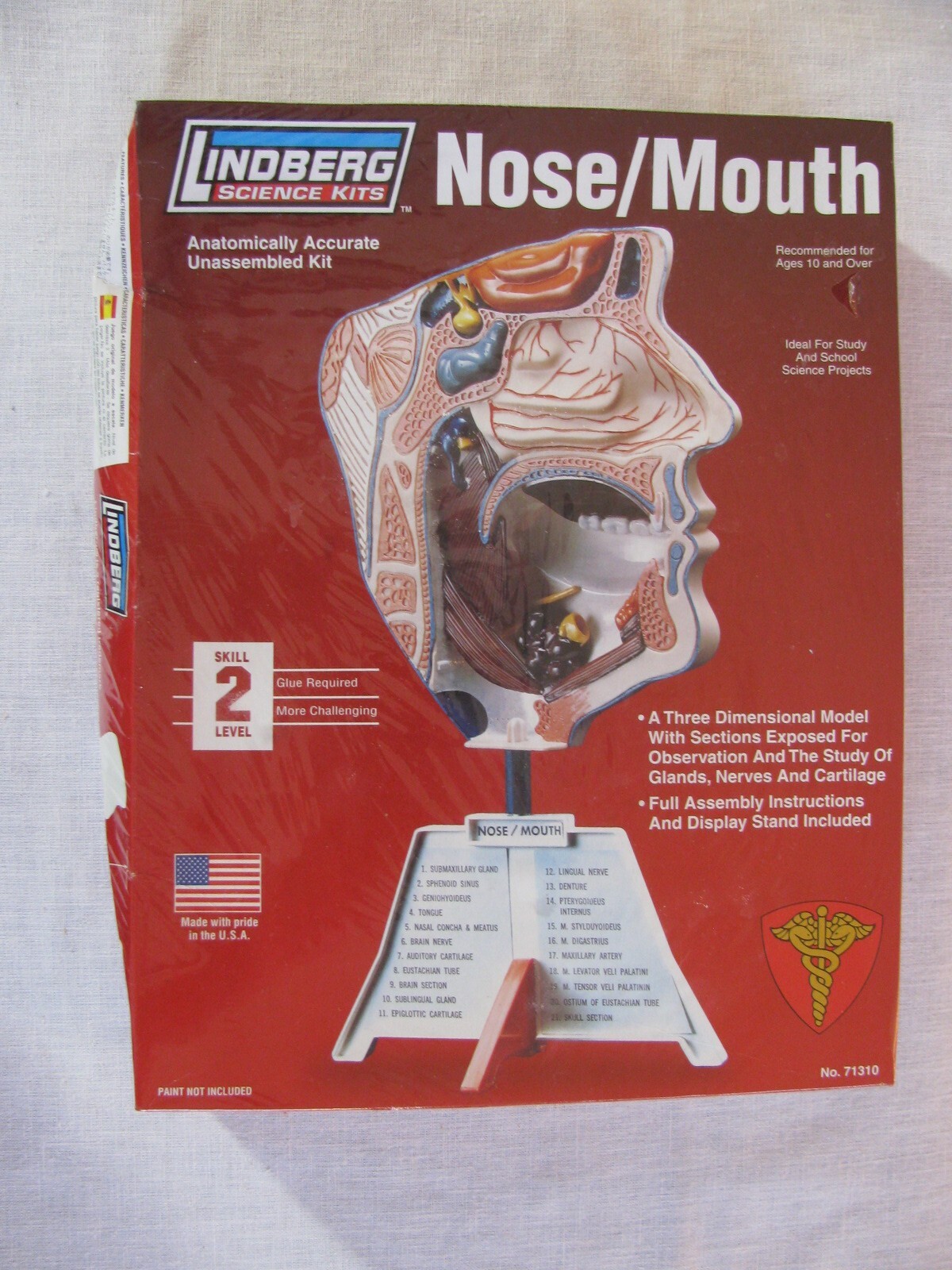 NEW Lindberg Nose/Mouth Science Kit 71310, Skill 2, USA rr