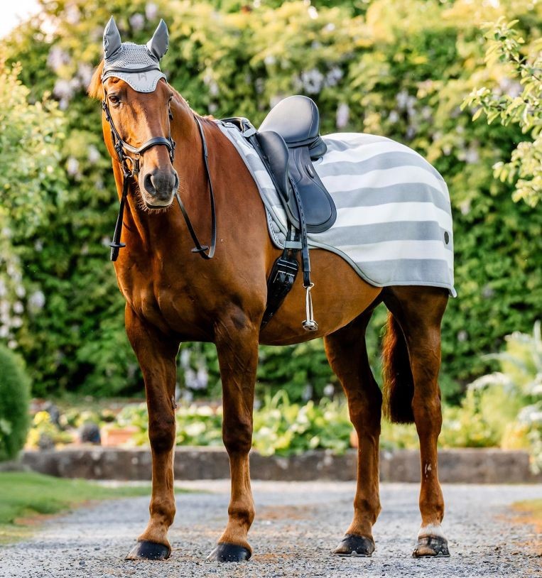 Horseware Newmarket Exercise Sheet - Whitney Charcoal