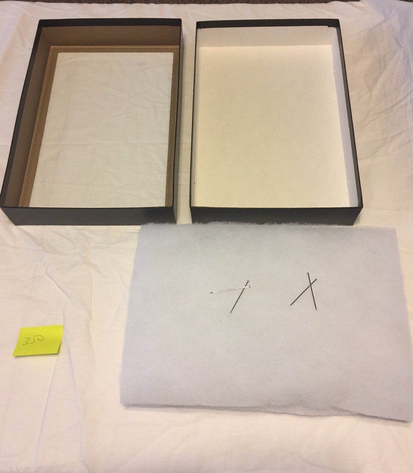 3-350 Riker Mount Display Case Shadow Box Frame Tray 12" X 8" X 2"