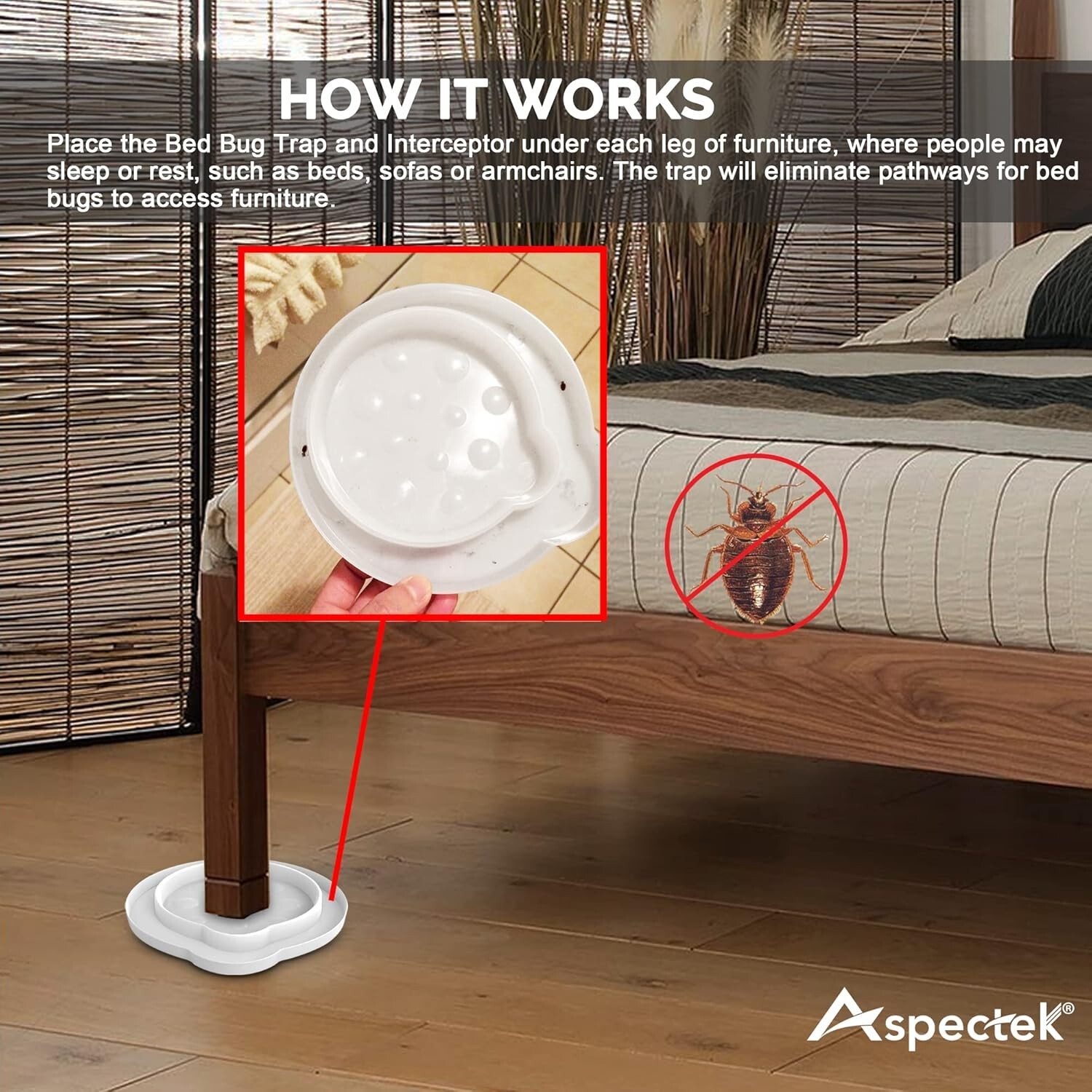 Bed Bug Trap, Bed Bug Interceptor, Bed Bug Traps (Pack of 4). Flea Traps, Safe E