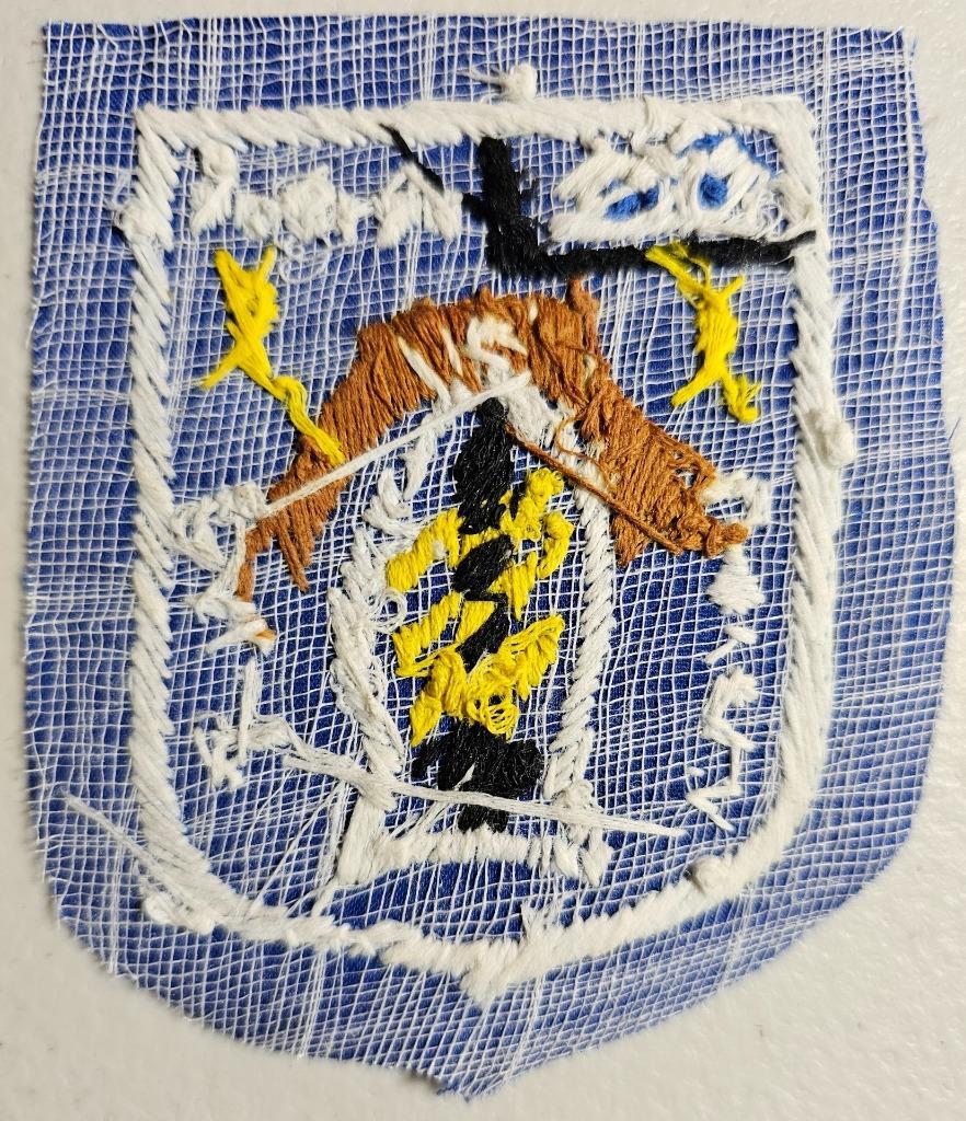 Vietnam Repro Patch: ???