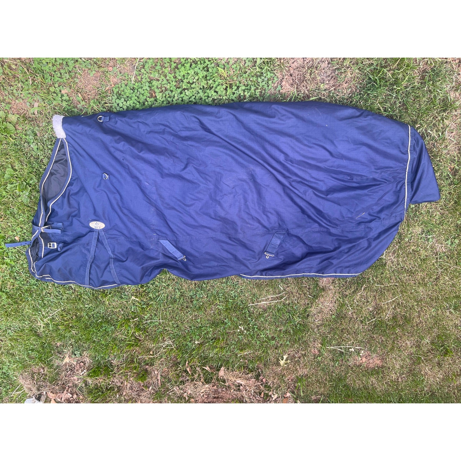 Sussex Big “D” Size 84 mediumweight Horse Winter Blanket