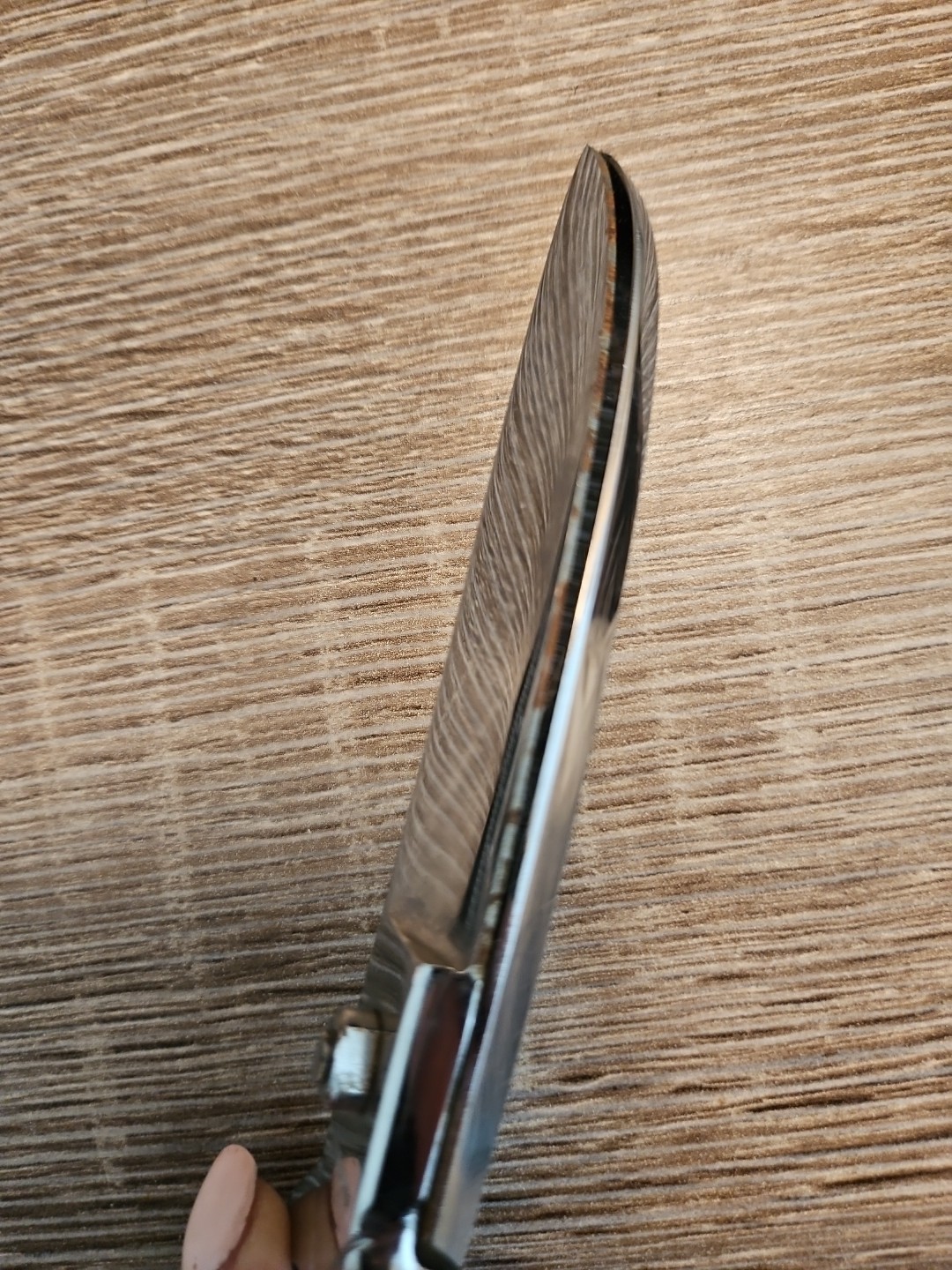 Vintage PRM Solingen Made in Germany Poultry Shears Chrome Scissors EUC