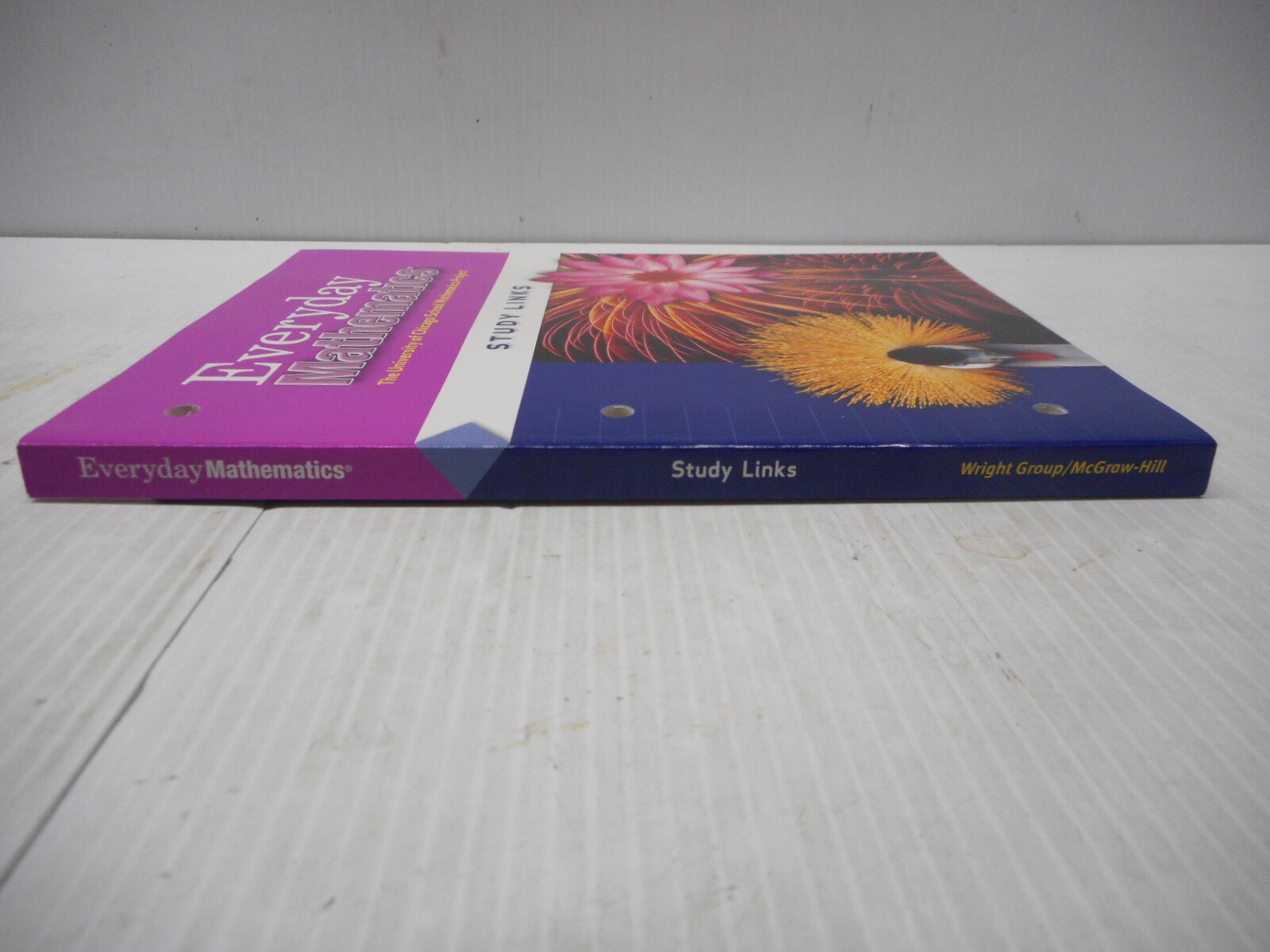 Wright Group/McGraw Hill Everyday Mathematics Study Links Grade 4 Paperback