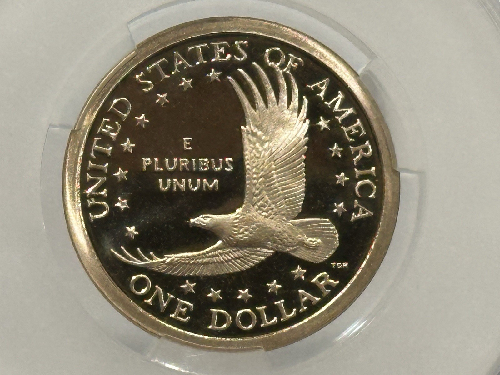 2008 S Sacagawea Dollar CAC PR67DCAM