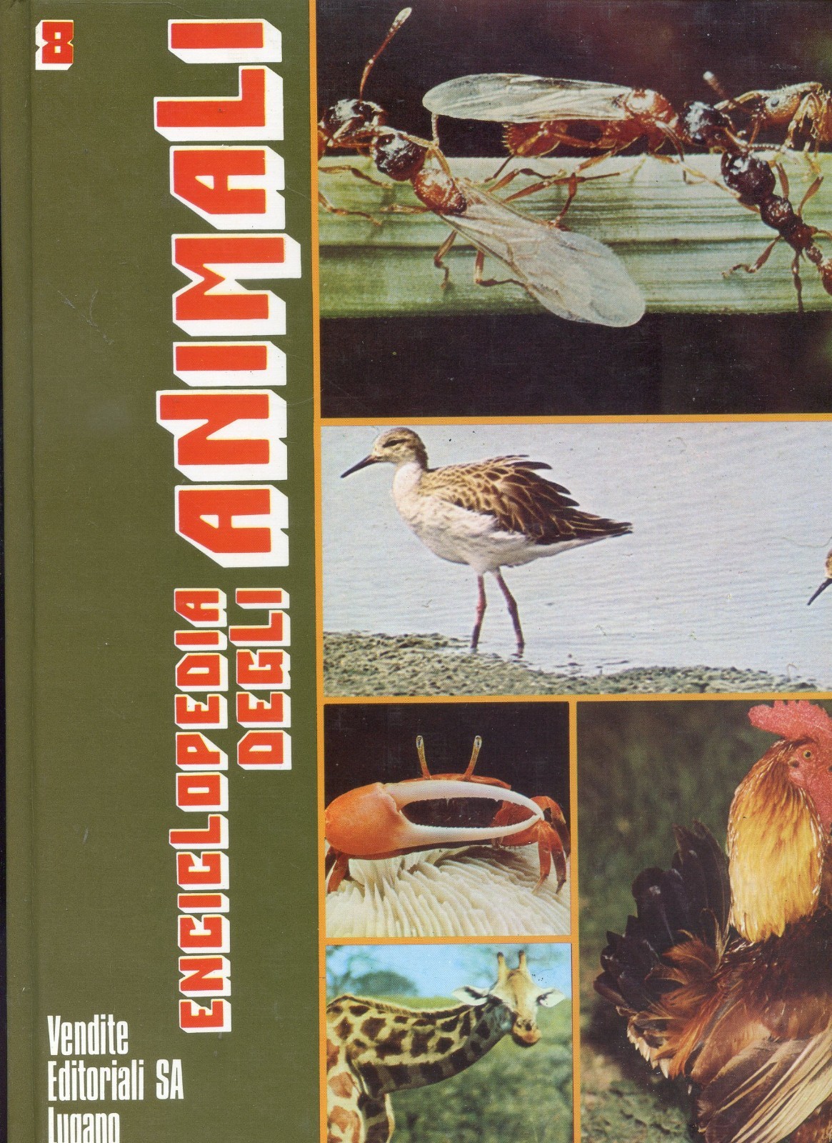1973 ENCICLOPEDIA DEGLI ANIMALI N. 8 - CO/CO - ED. LUGANO