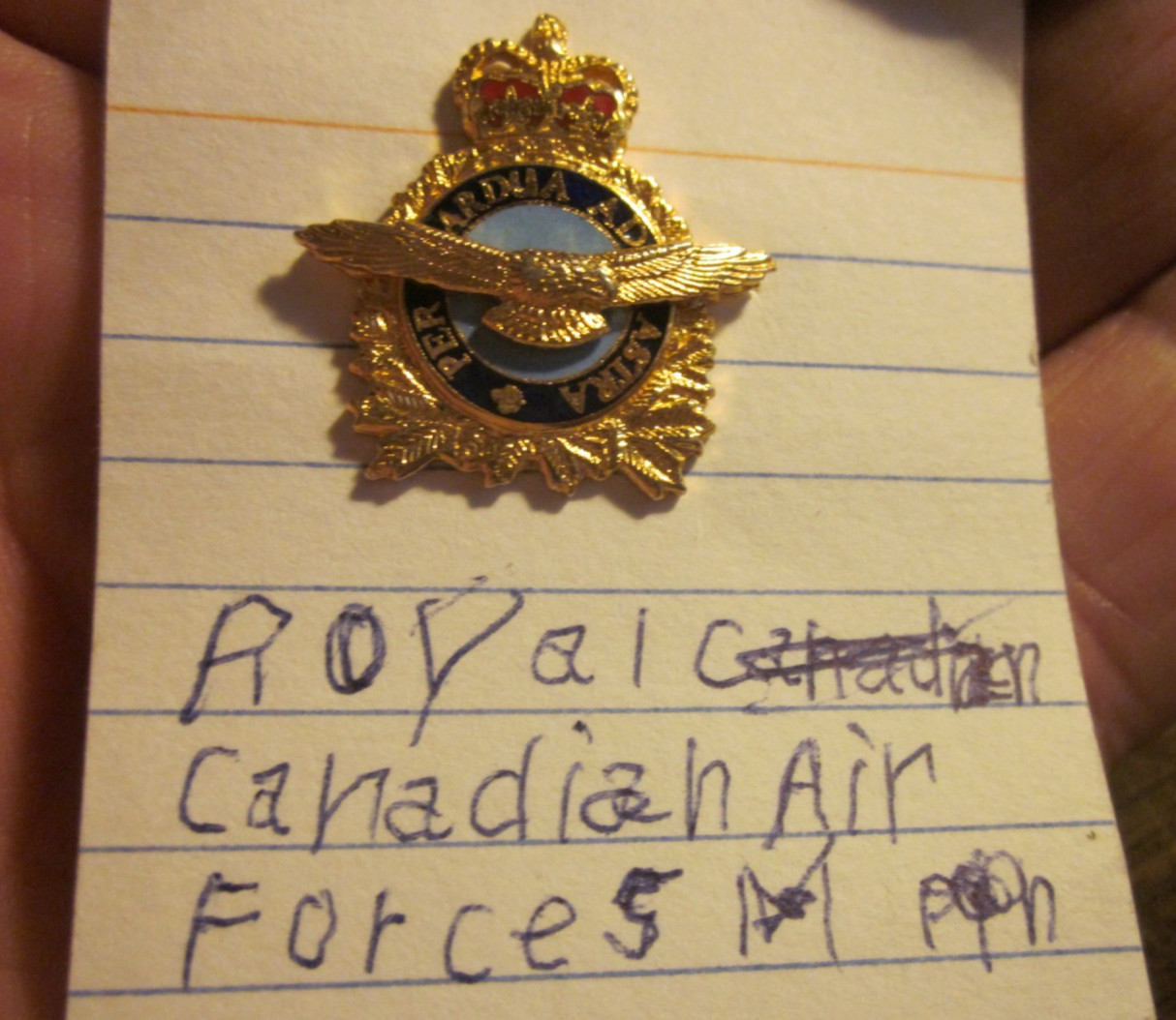 Canadian Royal Air Force Per Ardua Ad Astra Enamel Lapel Pin