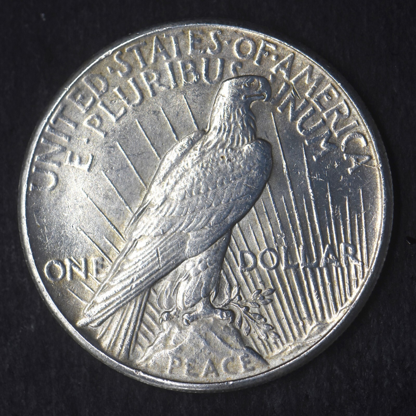 1926-P "High Grade" Peace Silver Dollar $1- COINGIANTS -