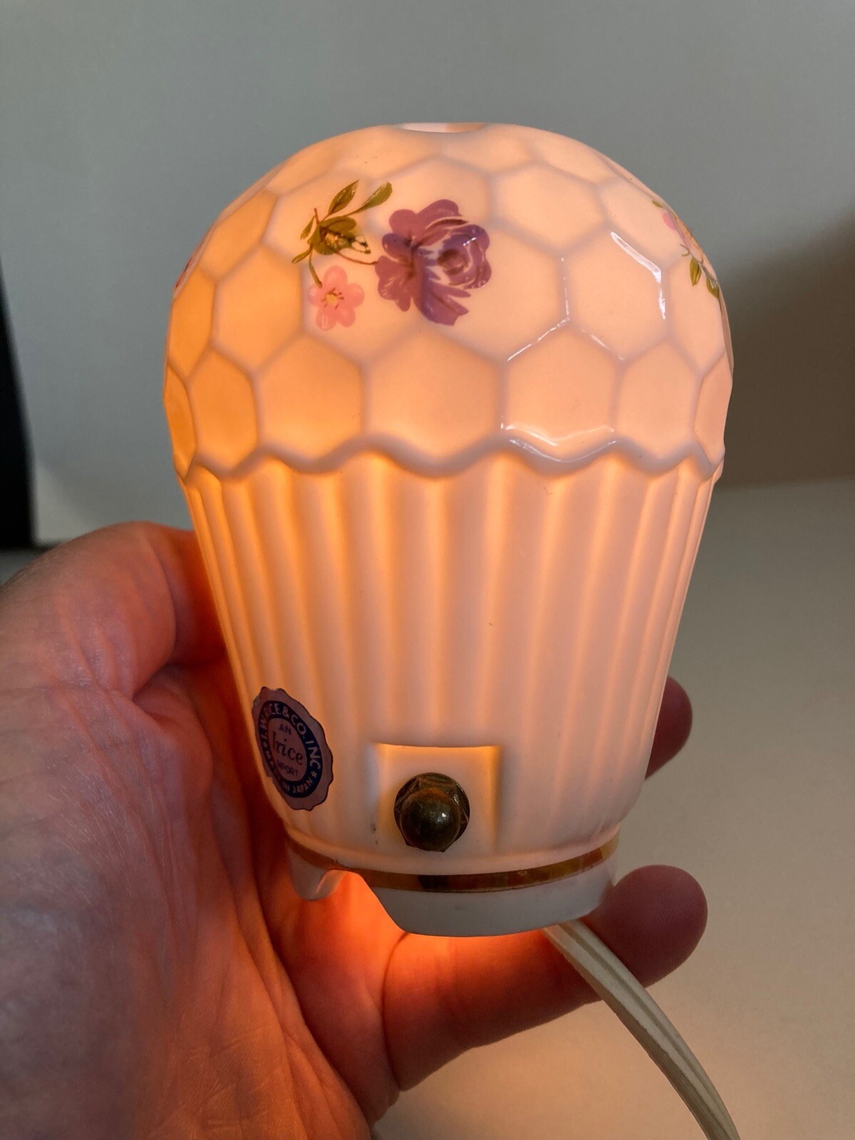 Vintage I.W. Rice & Co. Portable Lamp Night Light Porcelain Hand Painted Japan