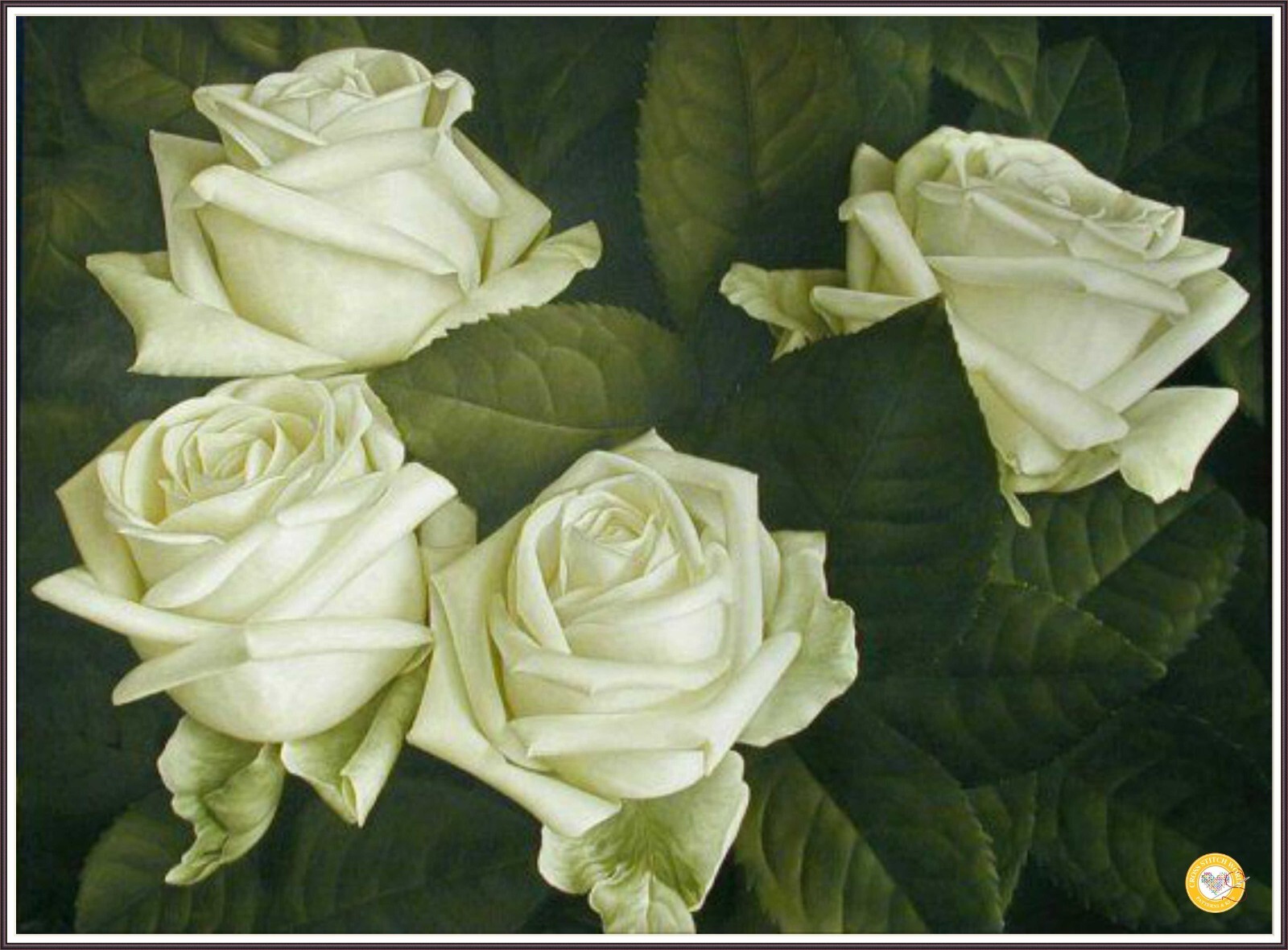 Rose's splash 751 Chart Counted Cross Stitch Pattern Needlework