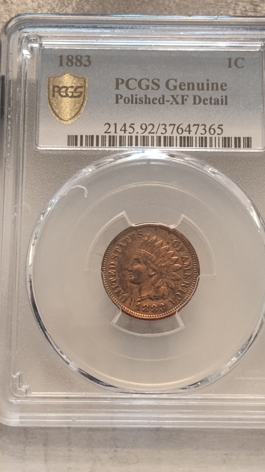 1883 Indian Head Cent PCGS Genuine Cleaning - XF Details 30363036.      274