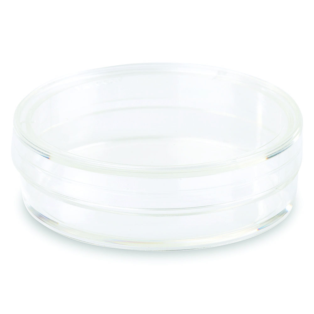Corning Falcon #353001, 35 mm Cell Culture Dish, (Pack of 20)