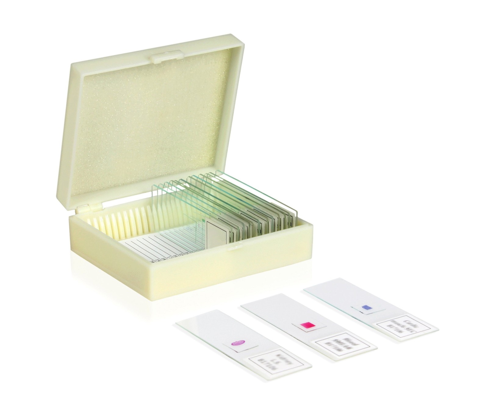VSH116 Prepared Slide Set – Deadly Human Diseases (Set of 10) Package | Slott...