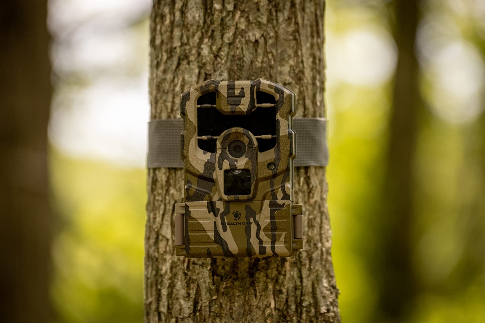 Prowler Trail Camera -16MP - Combo Pack