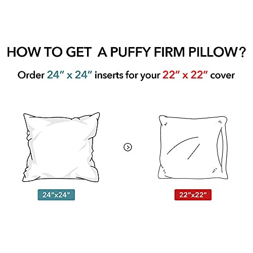 24x24 Outdoor Pillow Inserts (Pack of 2) - Square Waterproof 24 x 24 (2 Packs)